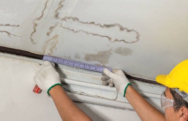 Reliable Sewage Cleanup contractor in Cedar Mountain, NC by Water Damage Irwin